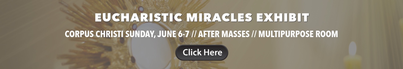 Eucharistic Miracles Exhibit